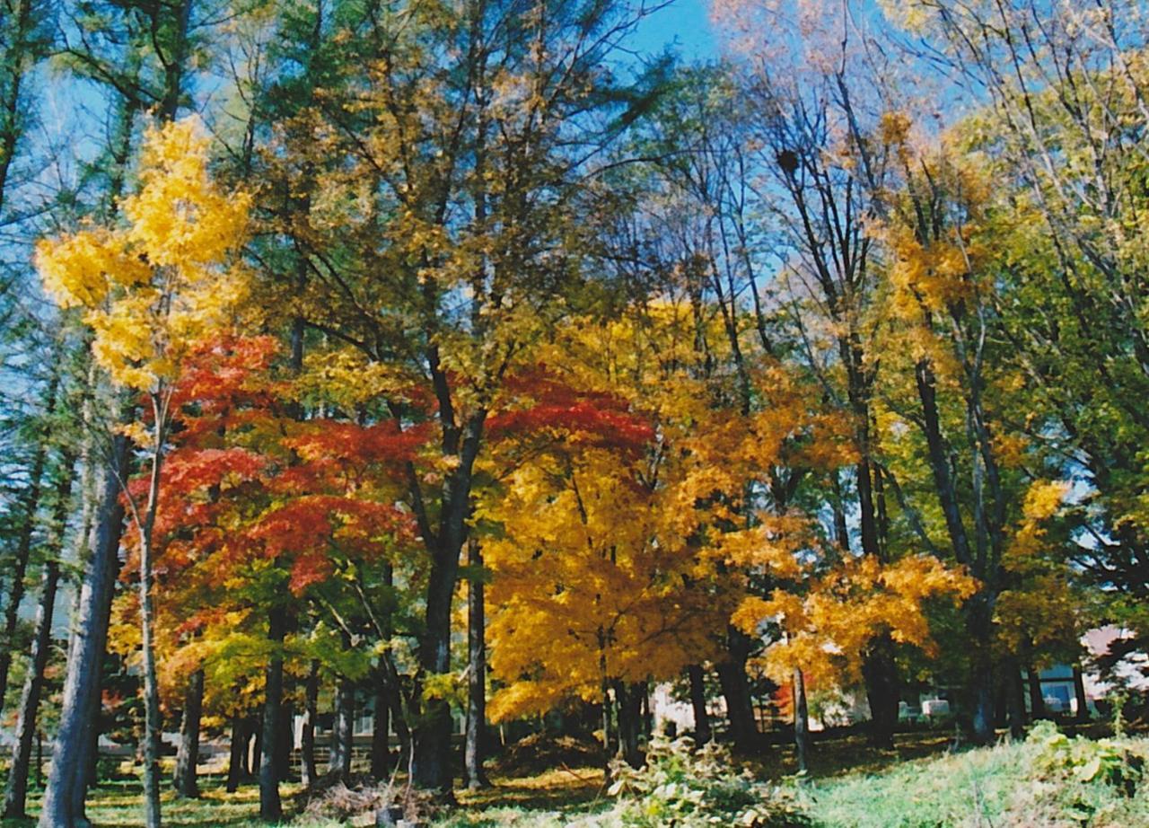 Cottage Morino Nakamatachi NakaNakafurano المظهر الخارجي الصورة